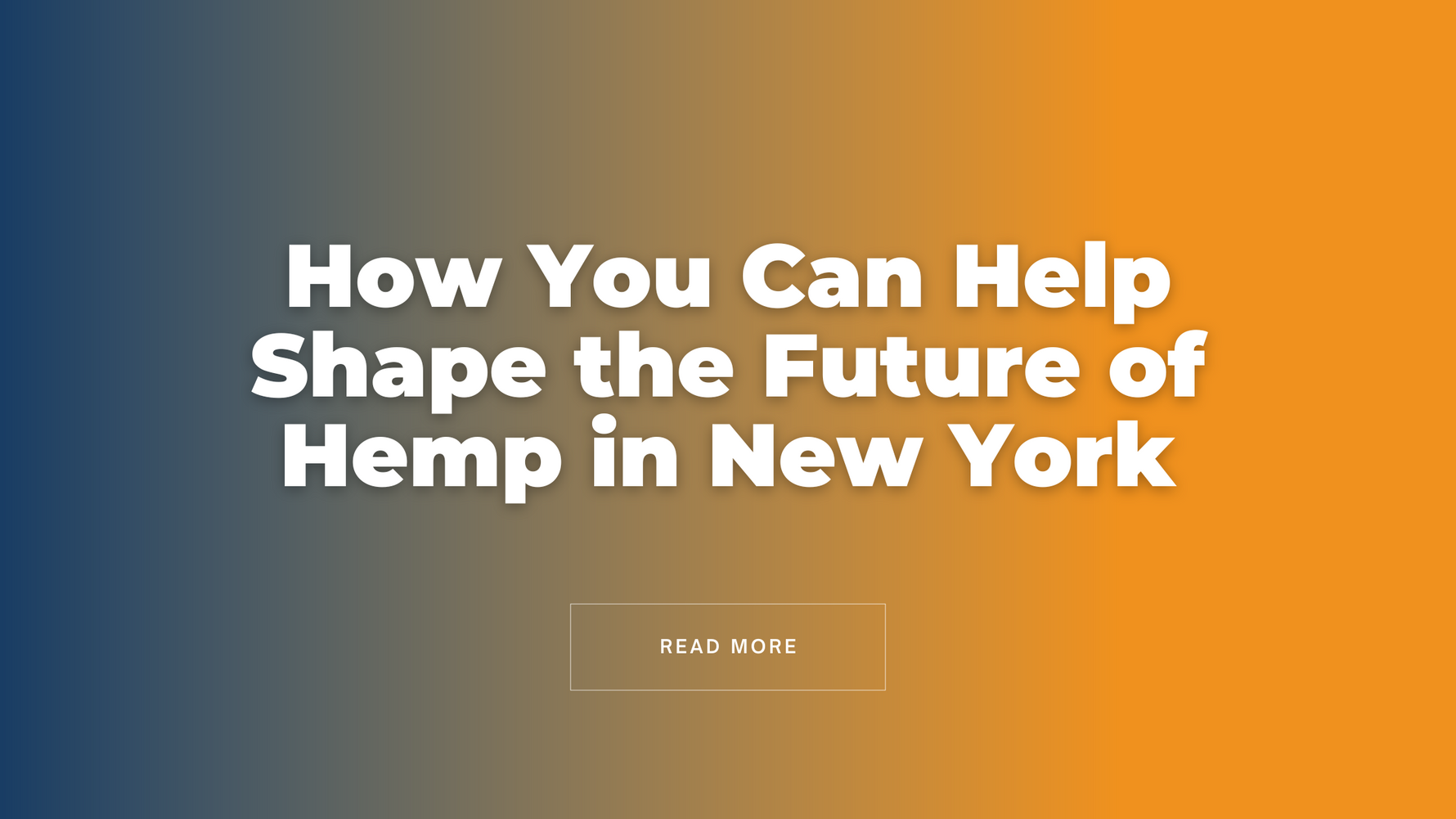 How You Can Help Shape the Future of Hemp in New York