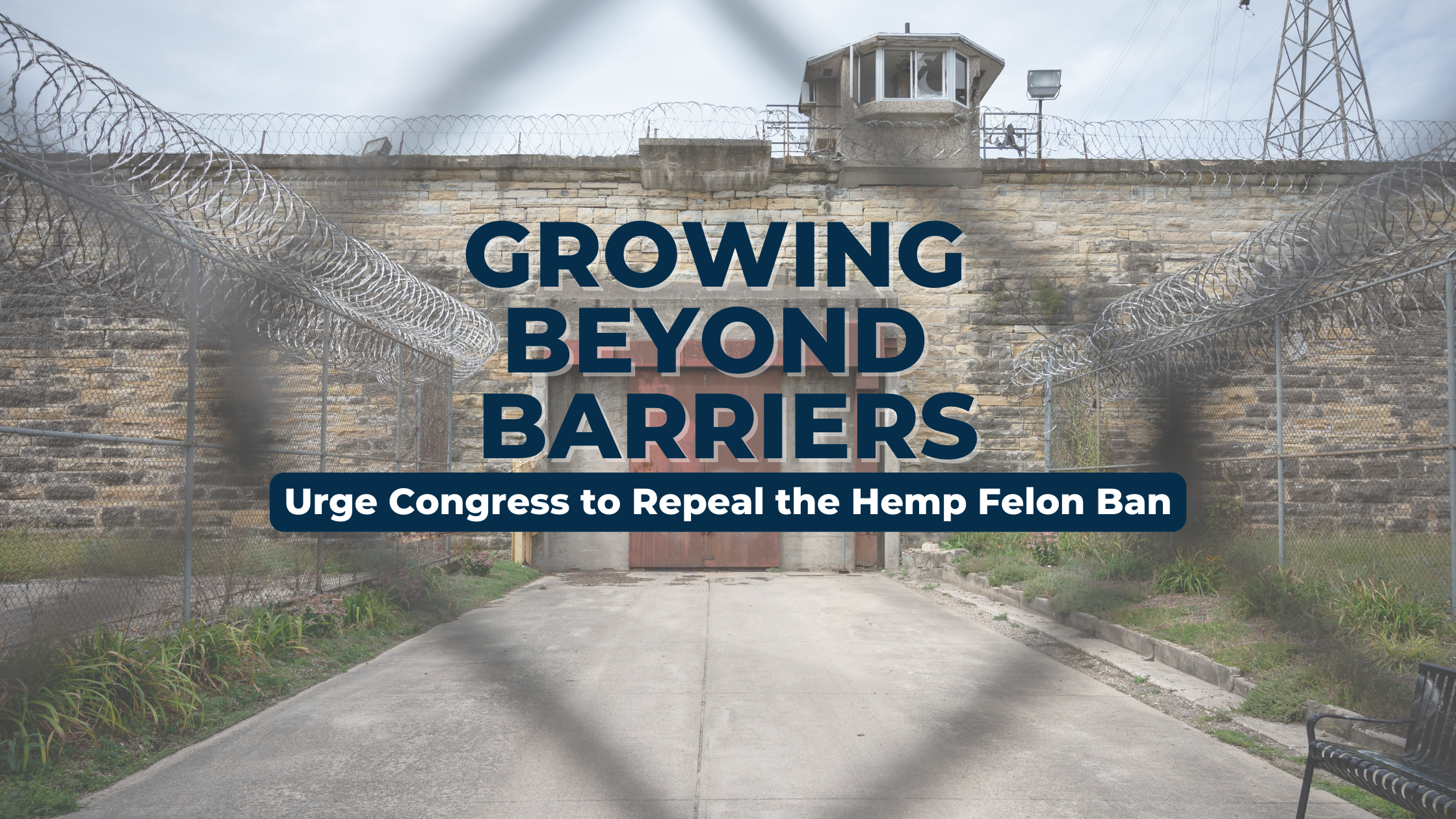 Breaking Barriers and Cultivating Change H.R.1428 and the Hemp Industry's Path to Inclusivity