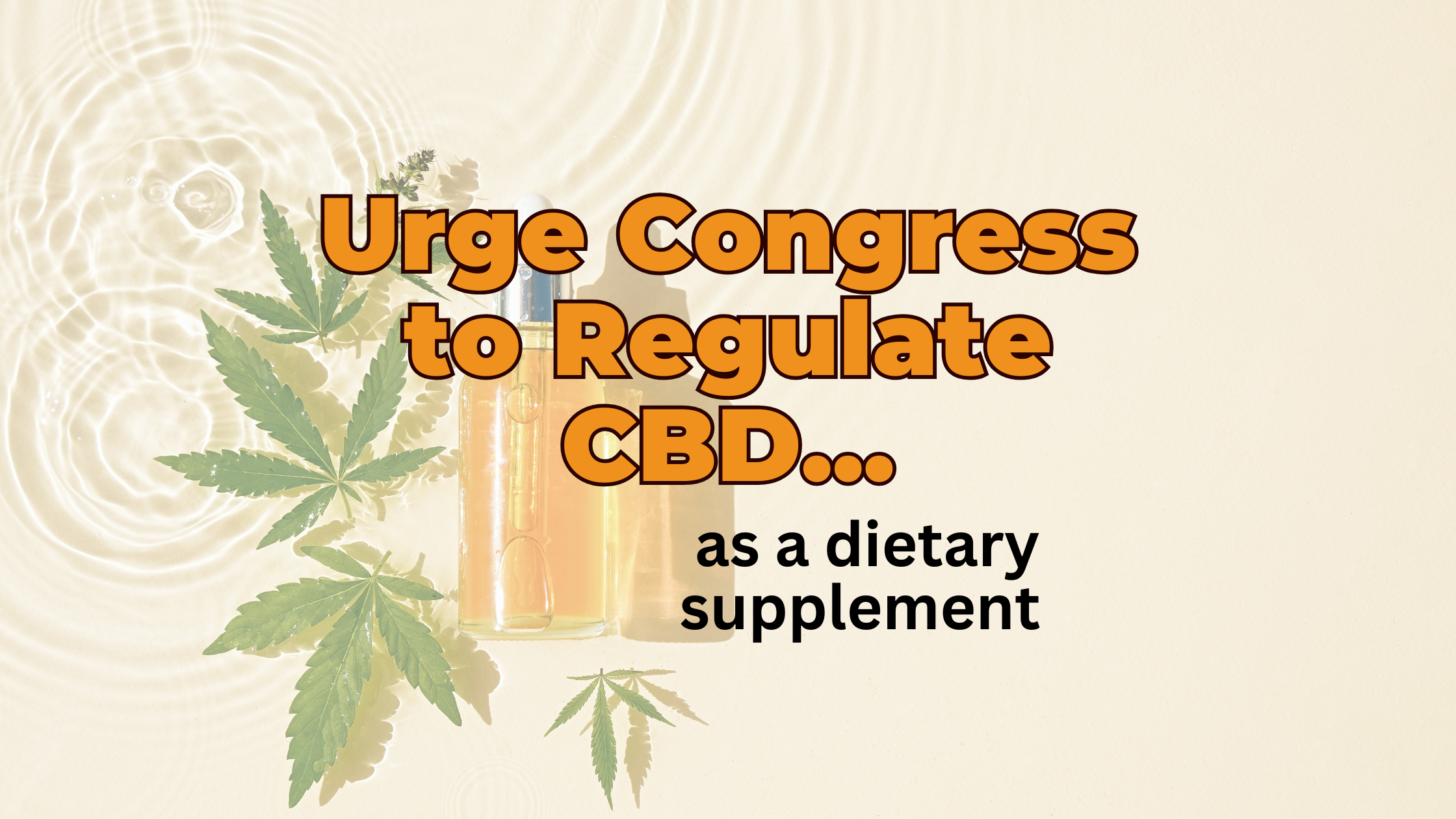 Paving the Way for CBD's Future in New York with H.R.1629