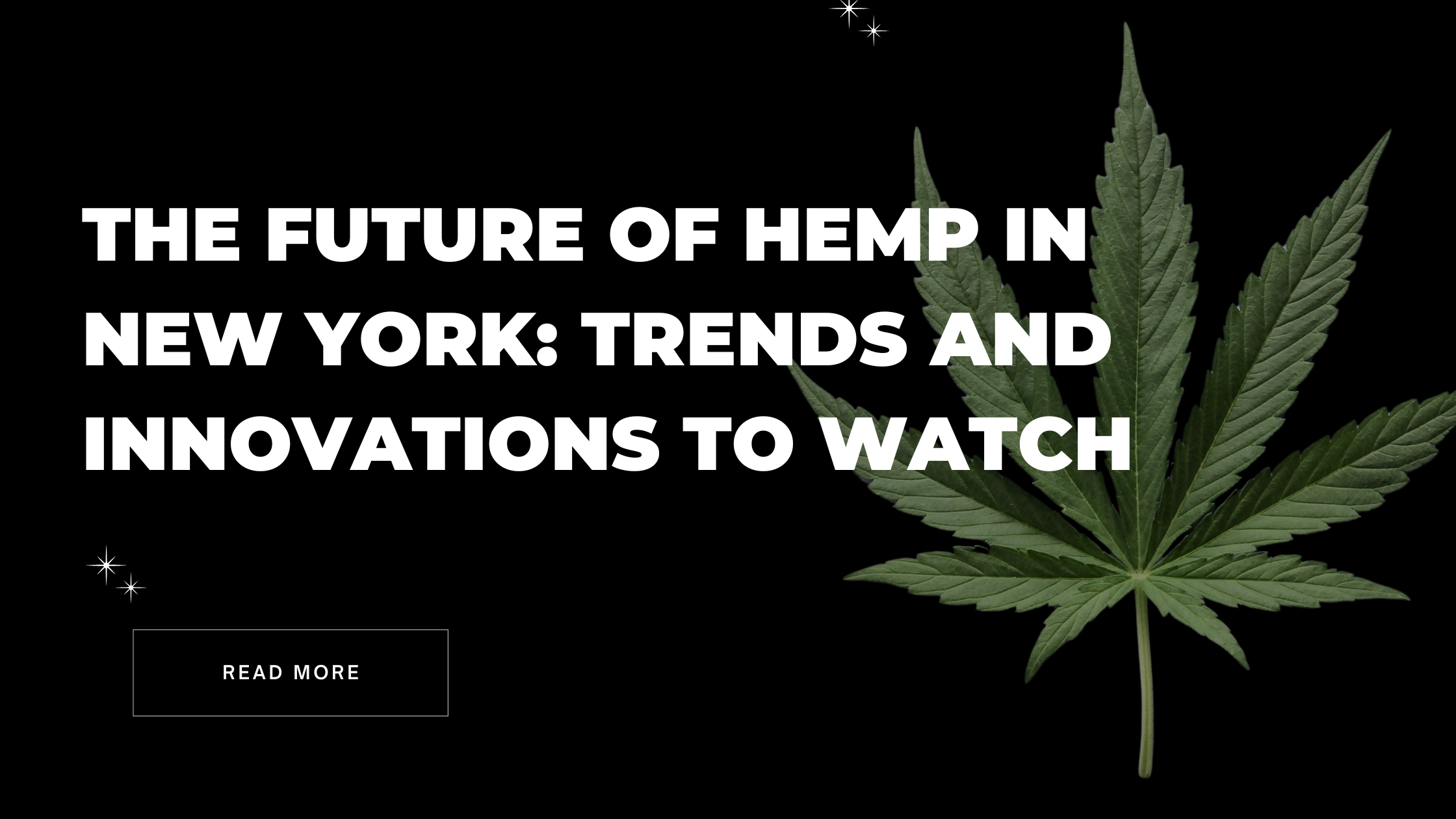 The Future of Hemp in New York: Trends and Innovations to Watch